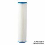 HydroLogic Big Boy Sediment Filter Pleated 20" x 4.5"