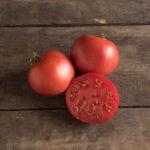 Semences Tomates Morskvich