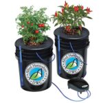Alfred DWC 2-Plant System