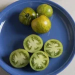 Semis de tomate Green zébra en pot de 3,5'' culture naturelle