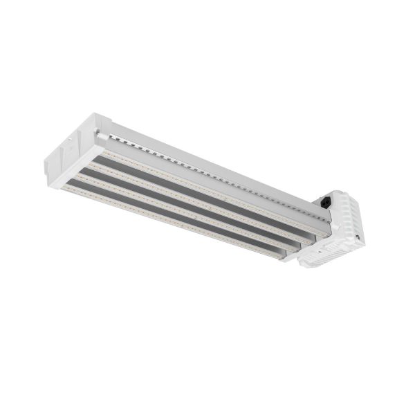 DLI Apex Series Toplight 800 FS DC (No Cord)