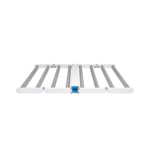DLI Diode Series Multilayer 600 FS DC (No Cord)