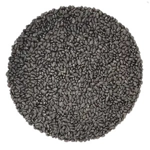 Semence Basilic Cannelle biologique 100G