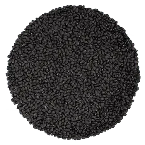 Semence Basilic Genovese biologique 100G