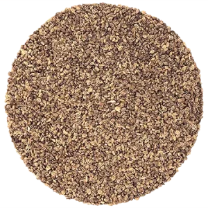 Semence Céleri biologique 28G