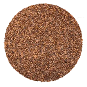 Semence Cresson de Fontaine biologique 100G