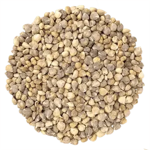 Semence Épinard biologique 50G