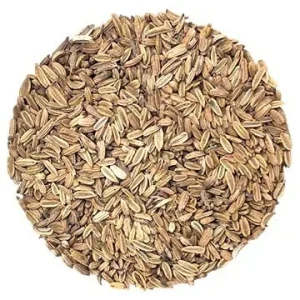 Semence Fenouil biologique 28G