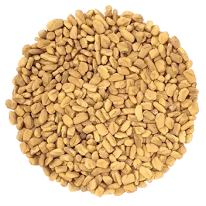 Semence Fenugrec  biologique 100G