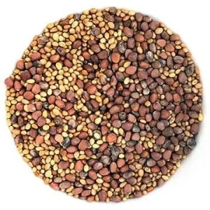 Semence Germix biologique (Luzerne, Trèfle, Radis) 100G