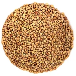 Semence Luzerne Large biologique 100G