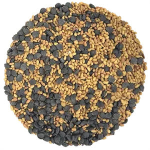 Semence Mélange Luzernette biologique (Luzerne & Ciboulette) 100G