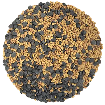 Semence Mélange Luzernette biologique (Luzerne & Ciboulette) 100G