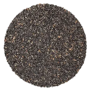 Semence Mélisse Citronnée biologique 100G