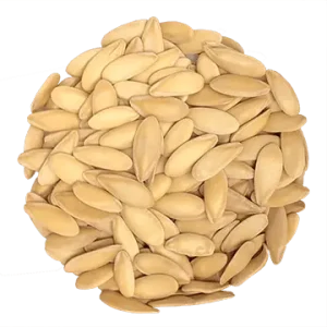 Semence Melon Cantaloupe biologique 100G