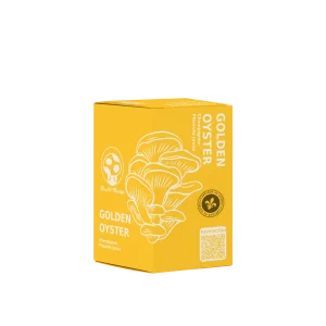 Kit de Culture de Champignon Pleurote Jaune