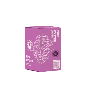 Kit de Culture de Champignon Pleurote Rose