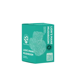 Kit de Culture de Champignon Hydne Hérisson