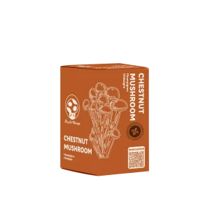 Kit de Culture de Champignon Châtaigne