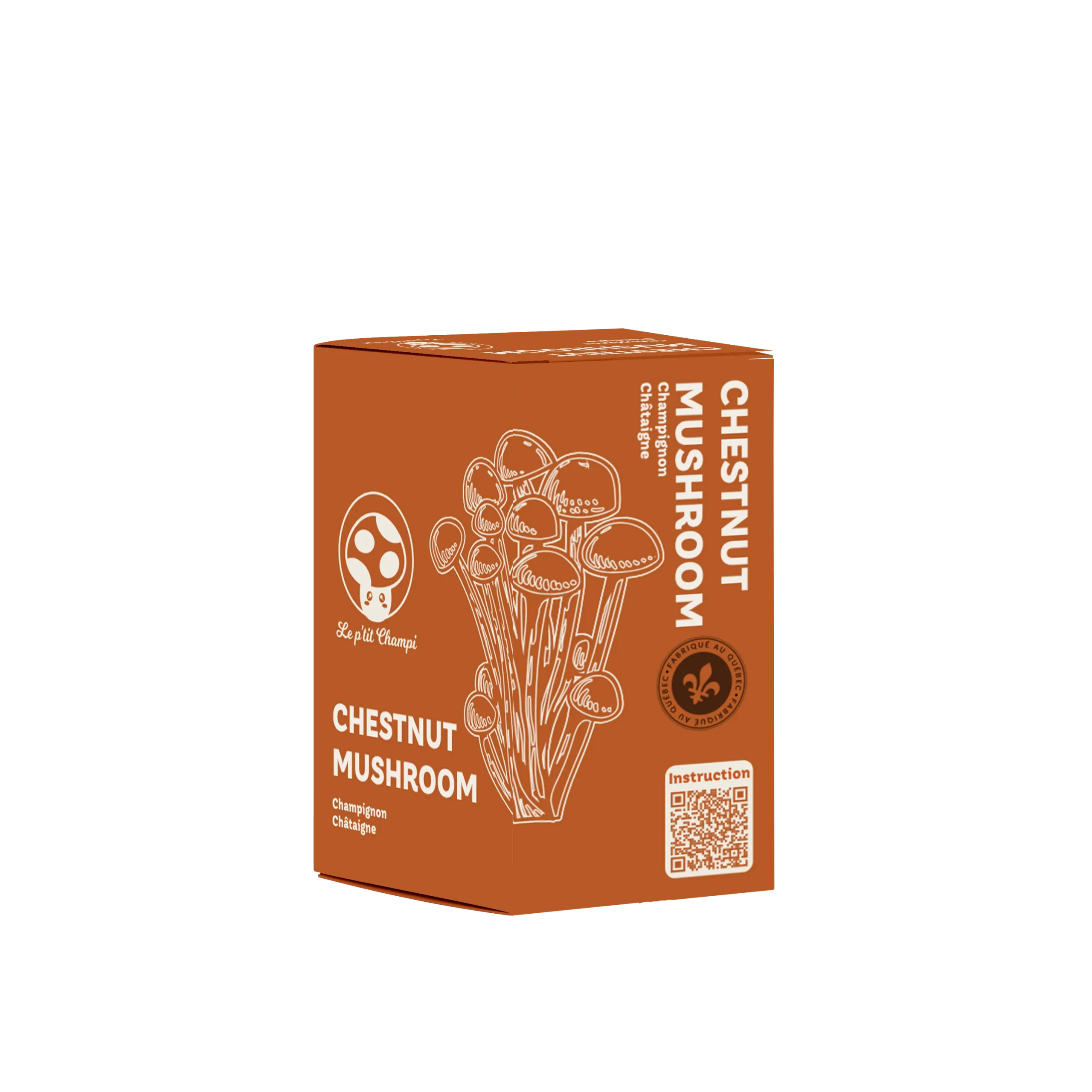 Kit de Culture de Champignon Châtaigne