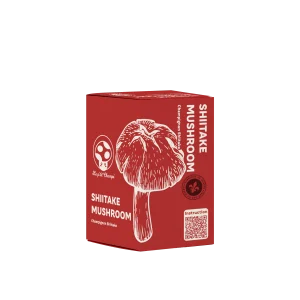 Kit de Culture de Champignon Shiitake