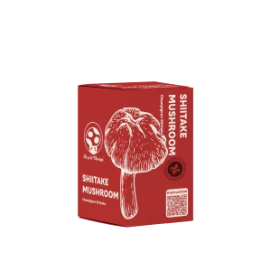 Kit de Culture de Champignon Shiitake