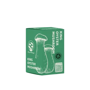 Kit de culture de Champignon Pleurote du Panicaut