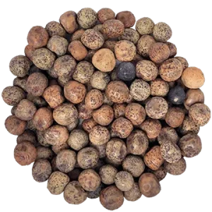 Semence Pois violet biologique 250G