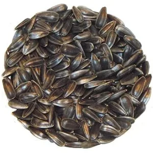 Semence Tournesol biologique 250G