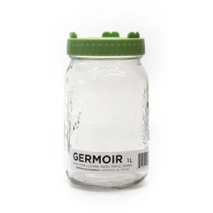 Germination