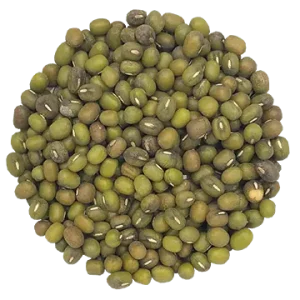 Semence Fève Mung biologique 125G