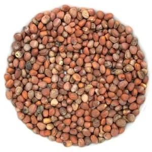 Semence Radis Noir biologique 100G