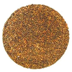 Semence Roquette biologique 100G