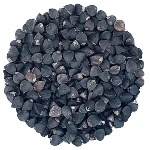 Semence Sarrasin biologique 250G