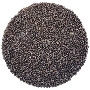 Semence Shiso Rouge biologique 100G